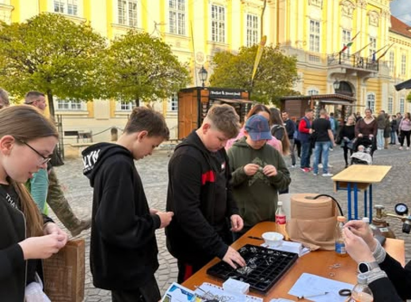 Pályaválasztási feladatok