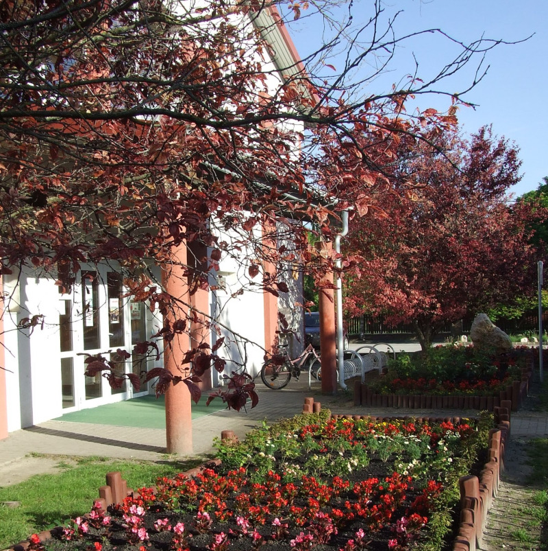 Szépült az iskola