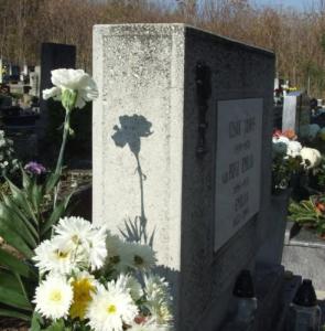 Az emlékezet virágai