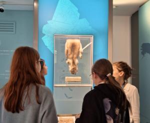 Kirándulás a Pénzmúzeumban