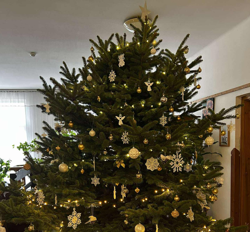 Feldíszítettük iskolánk gyönyörű fenyőfáját