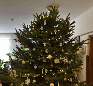 Feldíszítettük iskolánk gyönyörű fenyőfáját Feldíszítettük iskolánk gyönyörű fenyőfáját