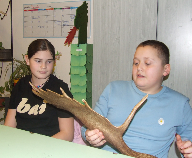 A természet csodái 