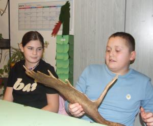 A természet csodái 