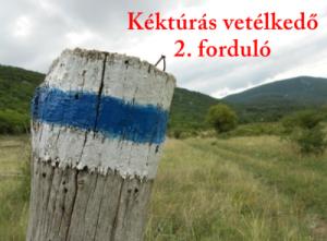 2. forduló megoldólap