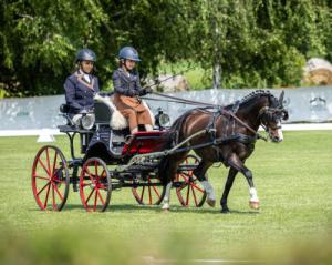 Szavazzatok Penzer Kamillára! 